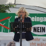 Stephanshausen DEMO Windwahn-20140719DSC08247.jpg